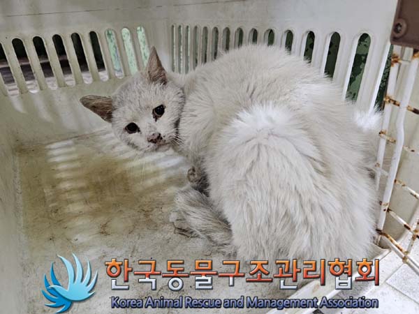 한국동물구조관리협회_441560202400436